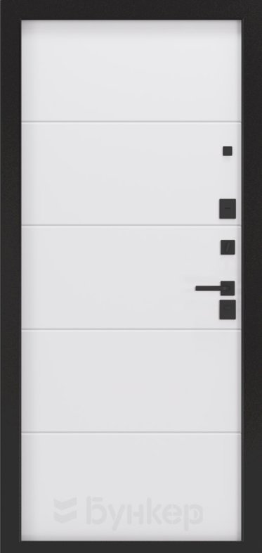 Товар Дверь BN-05 DIS006816