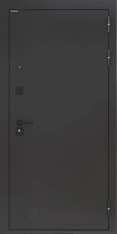 Товар Дверь BN-01.1 DIS006812